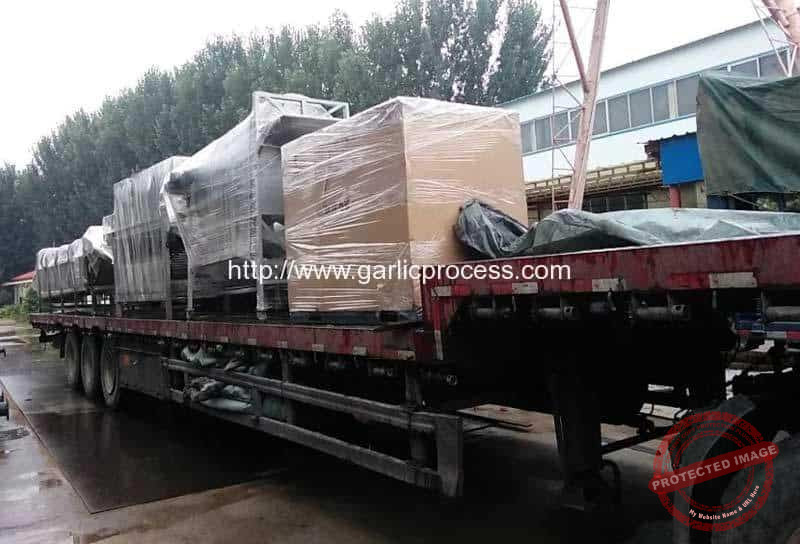 Dehydrated-Garlic-Granule-Production-Line-Delivery
